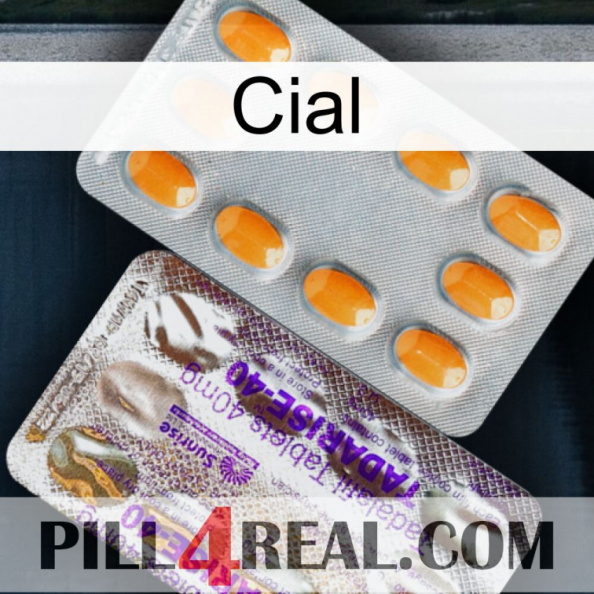 Cial new12.jpg